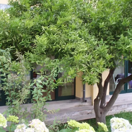 Bed & Breakfast Hortensia *