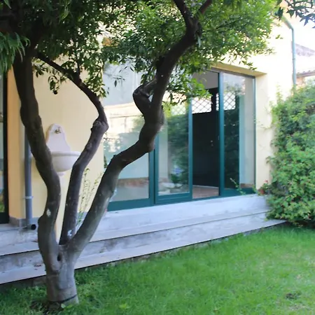 Hortensia San Giovanni La Punta