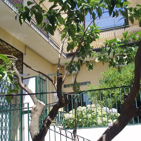 Hortensia * San Giovanni La Punta